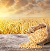 xr:d:DAEEeDzQLGw:12254,j:7700429549721347817,t:23081808