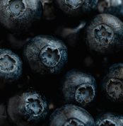 pexels-photo-4021631